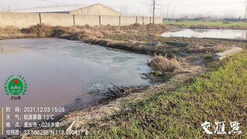 督察进行时 洪泽湖入湖河流系统整治不力 水污染问题突出