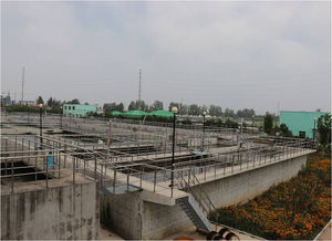 重点流域水污染防治项目网上公开巡查 山东省莒县城市污水处理厂改扩建二期工程进展情况