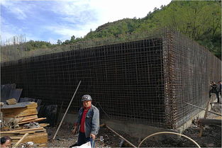 重点流域水污染防治项目网上公开巡查 陕西省米粮镇垃圾处理工程进展情况