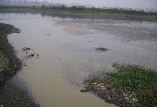 我国农村水污染现状及治理措施