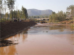 重点流域水污染防治项目网上公开巡查之五十九 山东省山亭区西伽河湿地生态保护与修复建设项目进展情况
