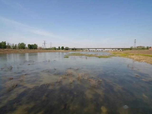 东汪镇丨水污染防治工作注重最后一公里