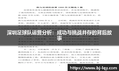 深圳足球队运营分析：成功与挑战并存的背后故事
